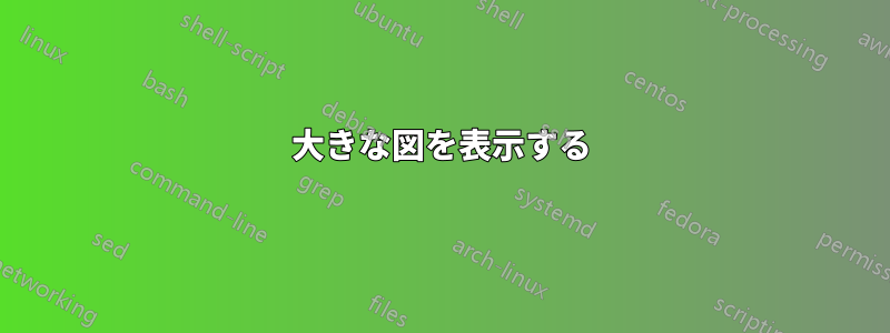 大きな図を表示する