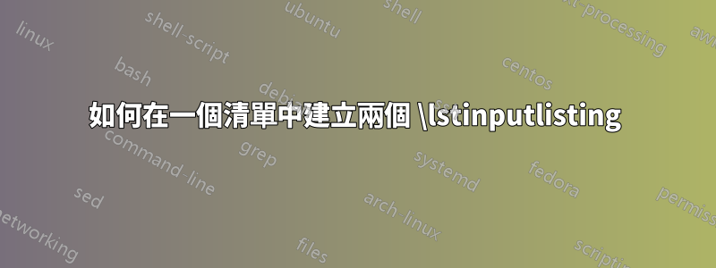 如何在一個清單中建立兩個 \lstinputlisting