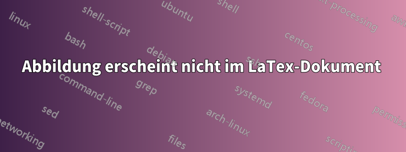 Abbildung erscheint nicht im LaTex-Dokument