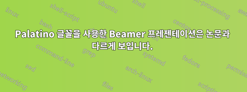 Palatino 글꼴을 사용한 Beamer 프레젠테이션은 논문과 다르게 보입니다.