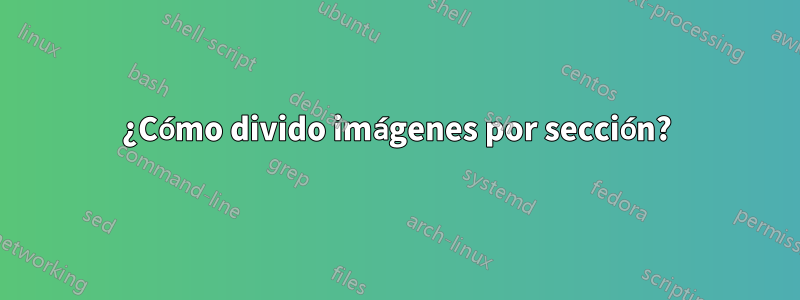 ¿Cómo divido imágenes por sección?