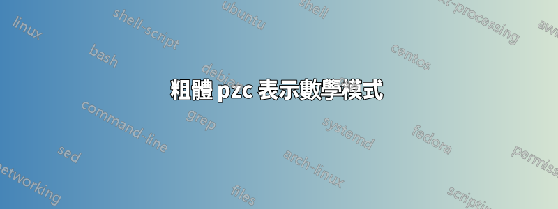 粗體 pzc 表示數學模式