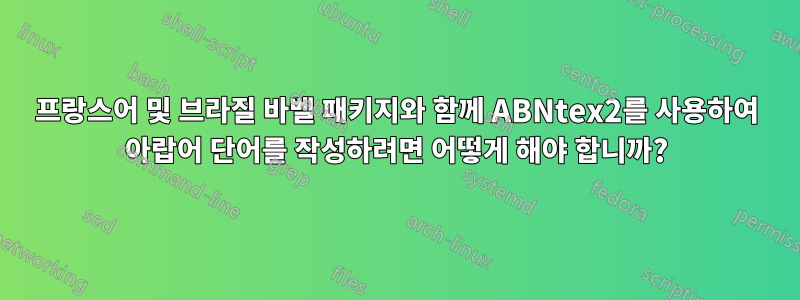 프랑스어 및 브라질 바벨 패키지와 함께 ABNtex2를 사용하여 아랍어 단어를 작성하려면 어떻게 해야 합니까?