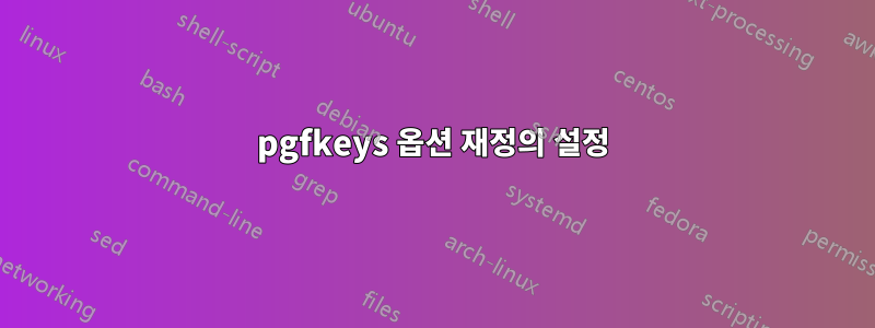 pgfkeys 옵션 재정의 설정