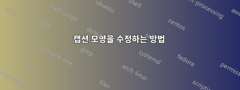 캡션 모양을 수정하는 방법