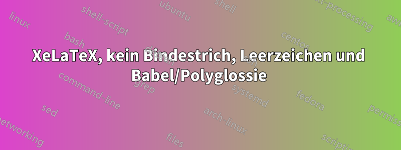 XeLaTeX, kein Bindestrich, Leerzeichen und Babel/Polyglossie