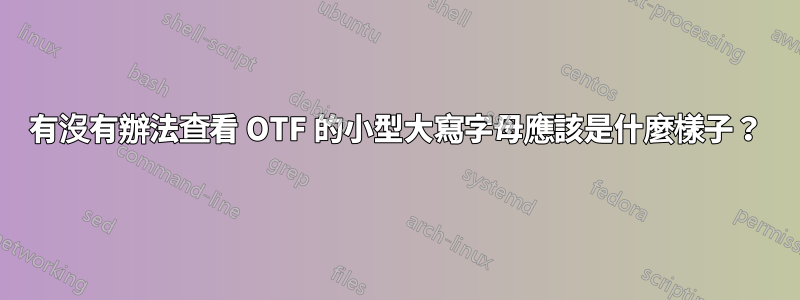 有沒有辦法查看 OTF 的小型大寫字母應該是什麼樣子？