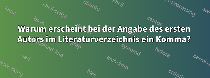 Warum erscheint bei der Angabe des ersten Autors im Literaturverzeichnis ein Komma?
