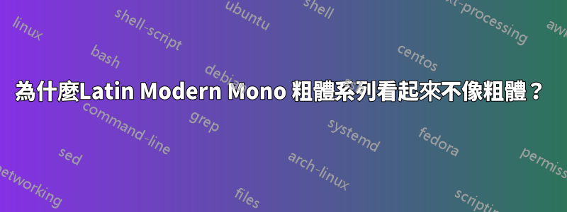 為什麼Latin Modern Mono 粗體系列看起來不像粗體？