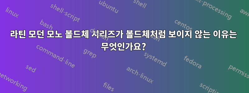 라틴 모던 모노 볼드체 시리즈가 볼드체처럼 보이지 않는 이유는 무엇인가요?