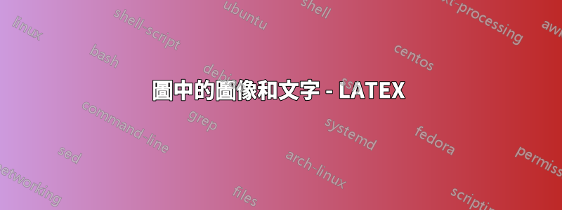 圖中的圖像和文字 - LATEX