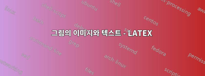 그림의 이미지와 텍스트 - LATEX