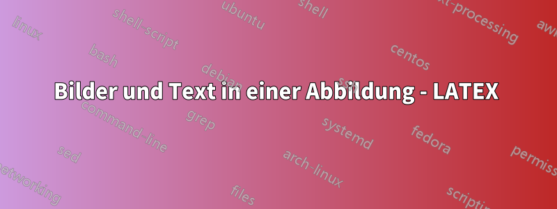 Bilder und Text in einer Abbildung - LATEX