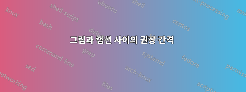 그림과 캡션 사이의 권장 간격