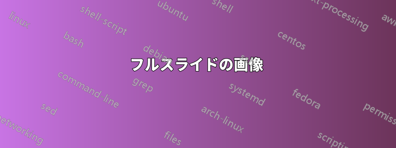 フルスライドの画像