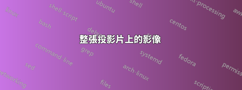 整張投影片上的影像