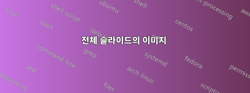 전체 슬라이드의 이미지
