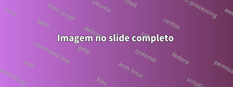 Imagem no slide completo