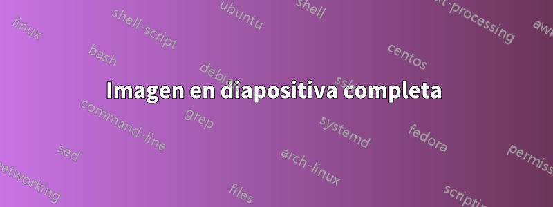 Imagen en diapositiva completa