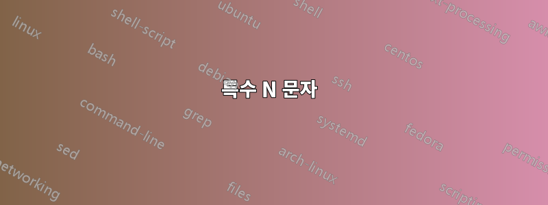 특수 N 문자 
