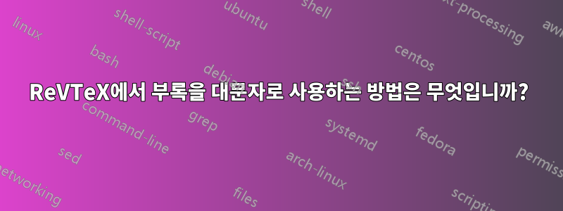 ReVTeX에서 부록을 대문자로 사용하는 방법은 무엇입니까?