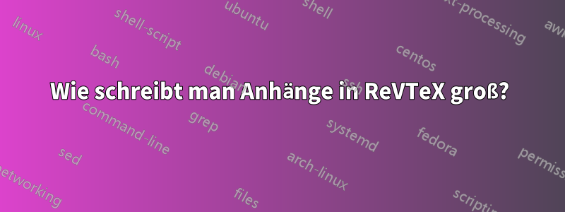 Wie schreibt man Anhänge in ReVTeX groß?