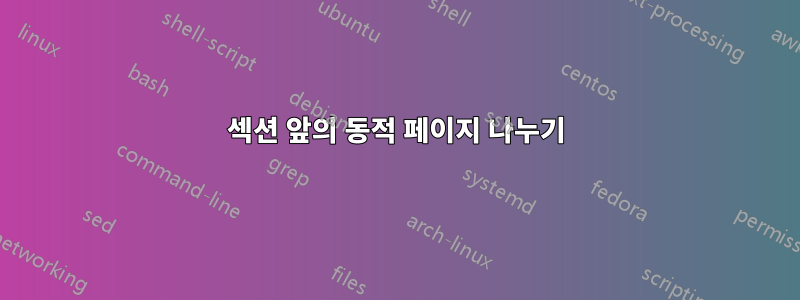 섹션 앞의 동적 페이지 나누기