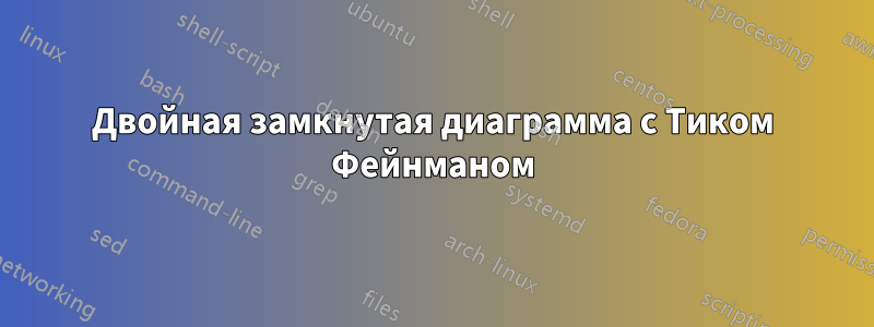 Двойная замкнутая диаграмма с Тиком Фейнманом