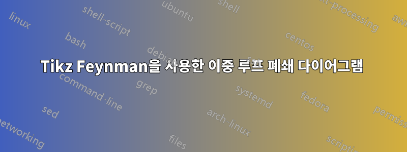Tikz Feynman을 사용한 이중 루프 폐쇄 다이어그램