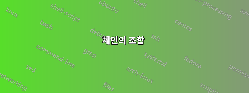 체인의 조합