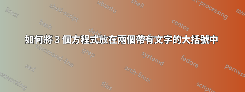 如何將 3 個方程式放在兩個帶有文字的大括號中