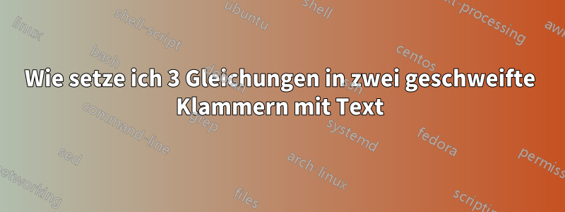 Wie setze ich 3 Gleichungen in zwei geschweifte Klammern mit Text
