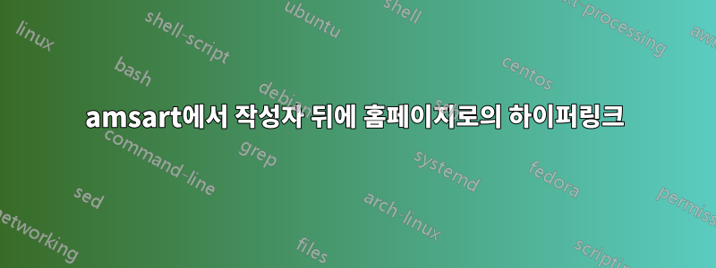 amsart에서 작성자 뒤에 홈페이지로의 하이퍼링크