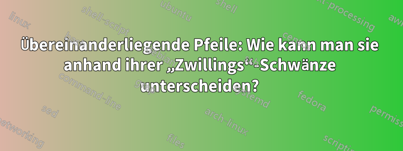 Übereinanderliegende Pfeile: Wie kann man sie anhand ihrer „Zwillings“-Schwänze unterscheiden?
