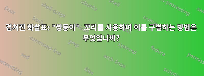 겹쳐진 화살표: "쌍둥이" 꼬리를 사용하여 이를 구별하는 방법은 무엇입니까?