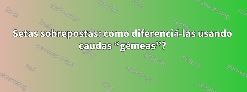 Setas sobrepostas: como diferenciá-las usando caudas “gêmeas”?