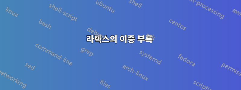 라텍스의 이중 부록