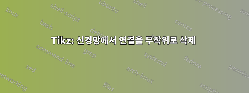 Tikz: 신경망에서 연결을 무작위로 삭제