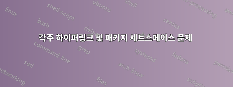 각주 하이퍼링크 및 패키지 세트스페이스 문제