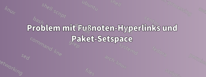 Problem mit Fußnoten-Hyperlinks und Paket-Setspace