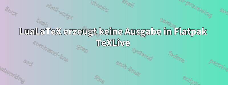 LuaLaTeX erzeugt keine Ausgabe in Flatpak TeXLive
