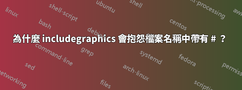 為什麼 includegraphics 會抱怨檔案名稱中帶有 # ？