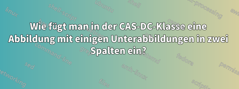 Wie fügt man in der CAS-DC-Klasse eine Abbildung mit einigen Unterabbildungen in zwei Spalten ein?