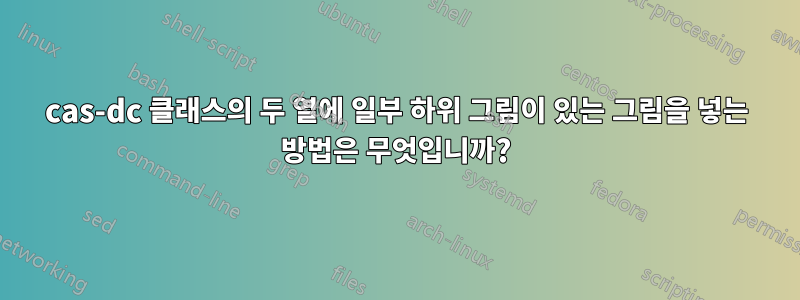 cas-dc 클래스의 두 열에 일부 하위 그림이 있는 그림을 넣는 방법은 무엇입니까?
