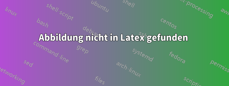Abbildung nicht in Latex gefunden
