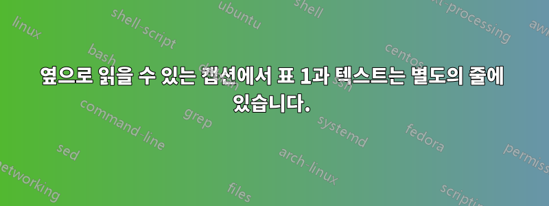 옆으로 읽을 수 있는 캡션에서 표 1과 텍스트는 별도의 줄에 있습니다.