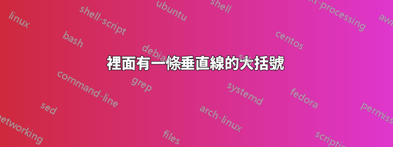 裡面有一條垂直線的大括號