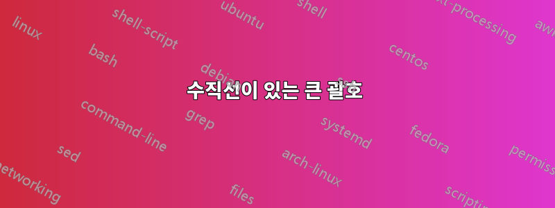 수직선이 있는 큰 괄호