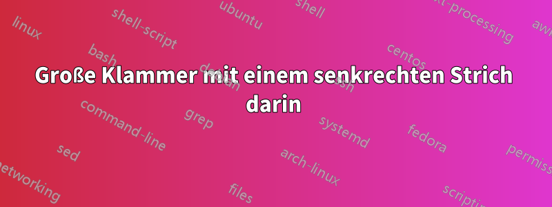 Große Klammer mit einem senkrechten Strich darin
