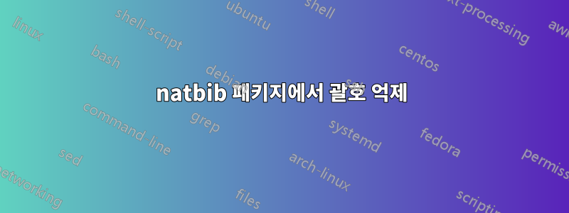 natbib 패키지에서 괄호 억제